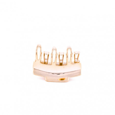 Hairclip Injected pliers MM simple 10 openwork teeth